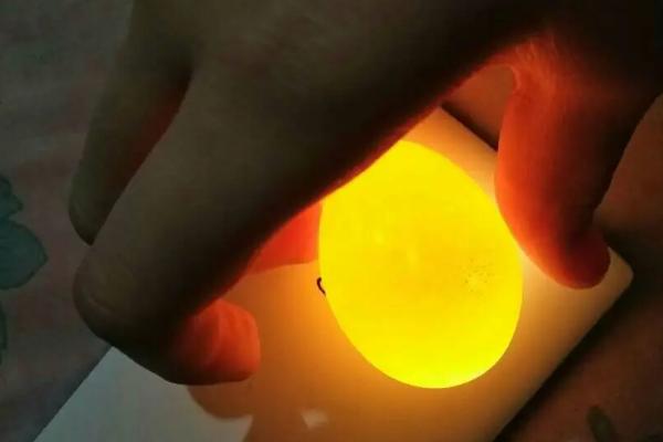 孵化蛋凉多久会死