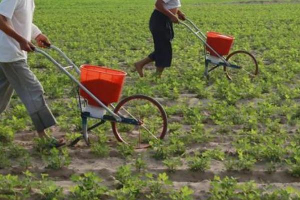 复合肥肥效能持续多久