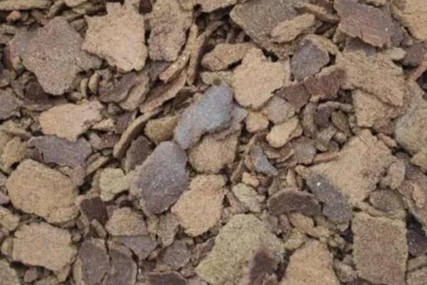 豆饼肥属于氮肥还是磷钾肥