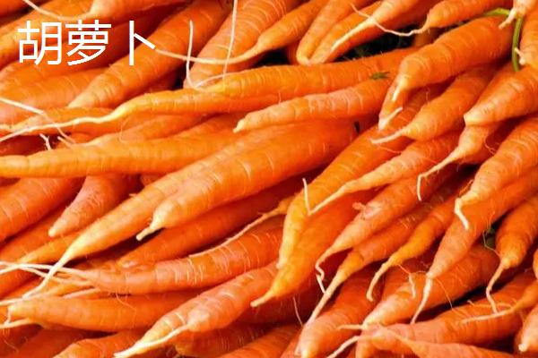 红萝卜和胡萝卜的区别