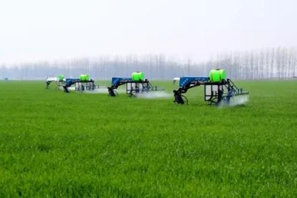 吡虫啉治蚜虫吗