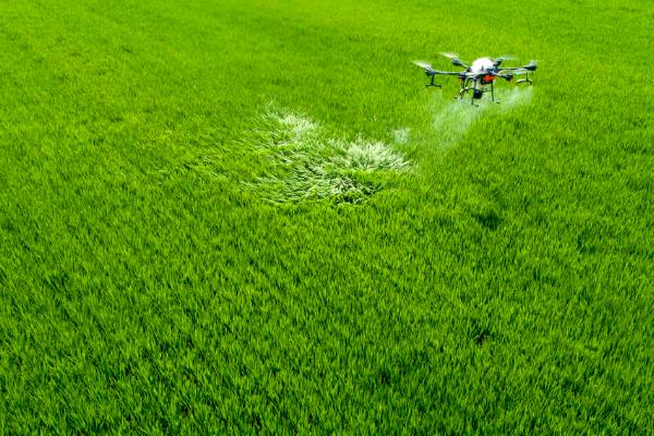 吡虫啉对蚧壳虫有效果吗