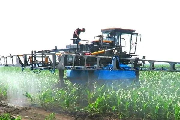 玉米除草用什么除草剂