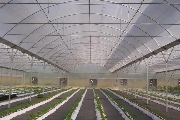 草莓温室大棚有几种加温方法