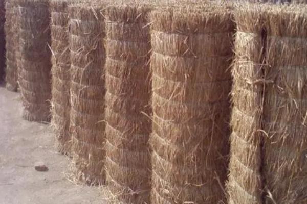 草莓温室大棚有几种加温方法