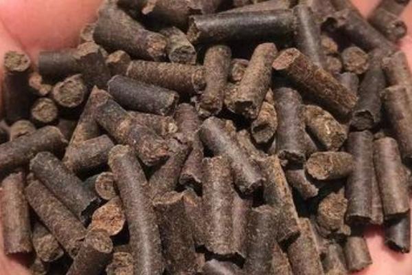 芝麻饼如何发酵做肥料