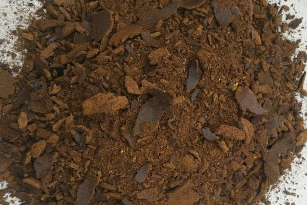 芝麻饼如何发酵做肥料