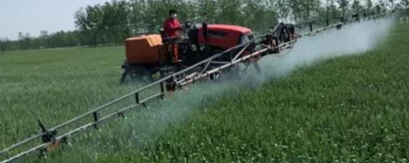 吡虫啉施药后多久有效