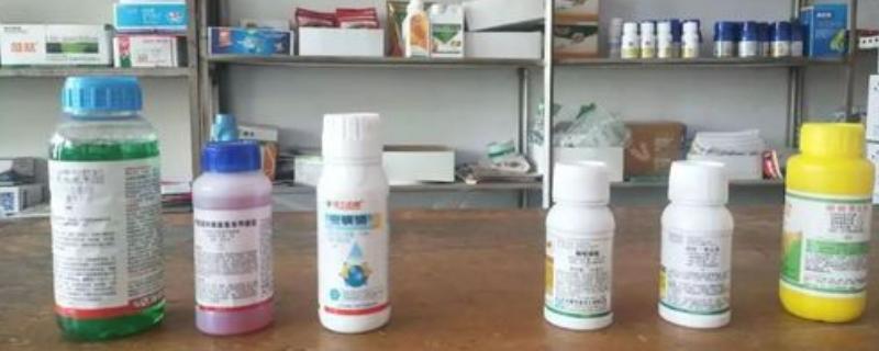 吡虫啉可以和杀菌药一起用吗