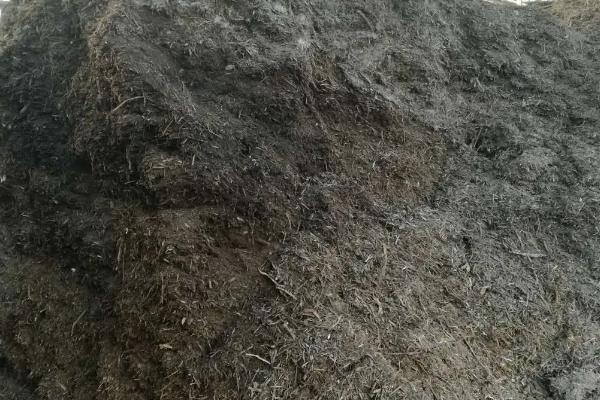 牛羊粪怎样发酵成有机肥