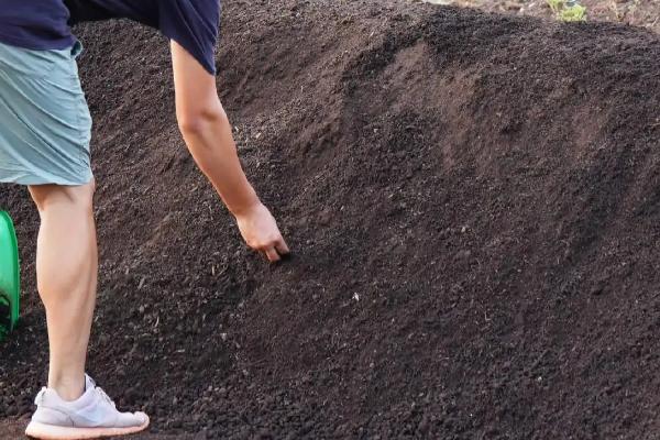 牛羊粪怎样发酵成有机肥