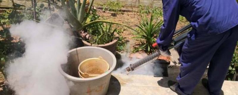 吡虫啉可以杀蟑螂吗