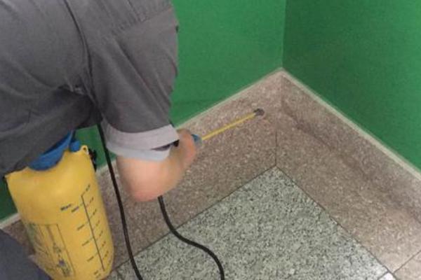 吡虫啉可以杀蚂蚁吗