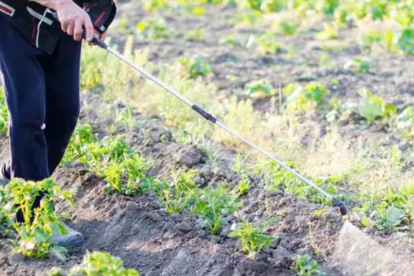 吡虫啉类杀虫剂有哪些