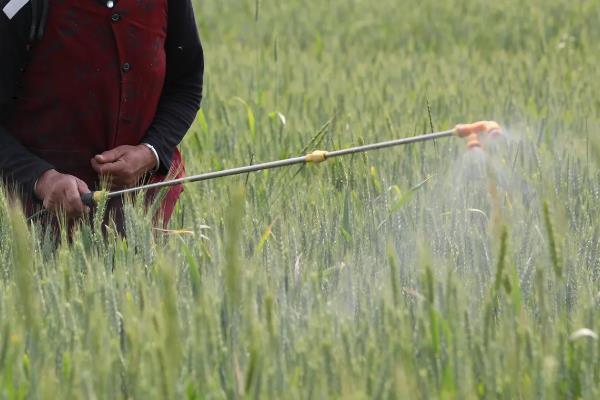 吡虫啉类杀虫剂有哪些