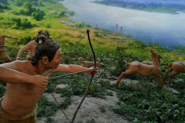 半坡人种植什么农作物