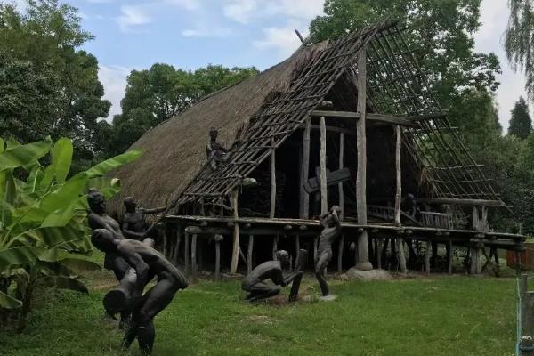 半坡人种植什么农作物