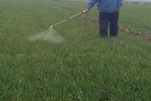 除草剂和杀虫剂可以混在一起用吗