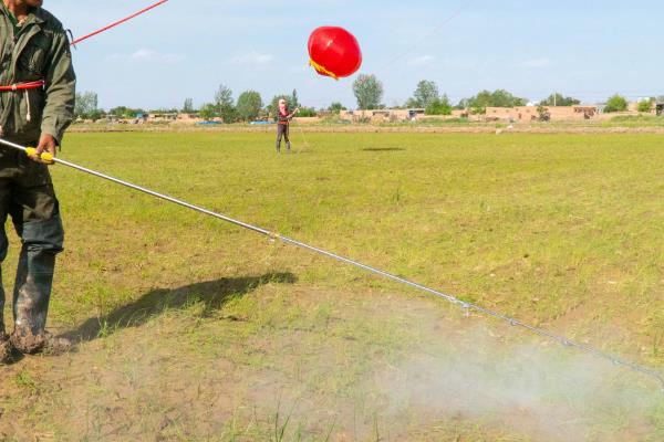 除草剂和杀虫剂可以混在一起用吗
