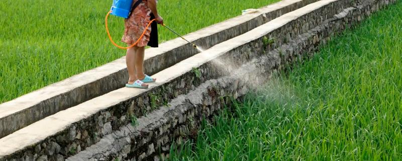 乙羧氟草醚使用注意事项