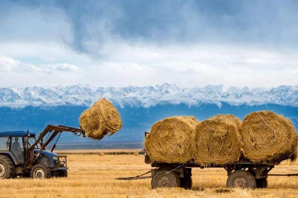 青藏地区种植业一般分布在什么地区