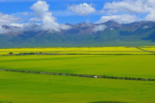 青藏地区种植业一般分布在什么地区