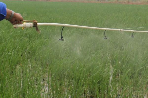 乙羧氟草醚使用注意事项