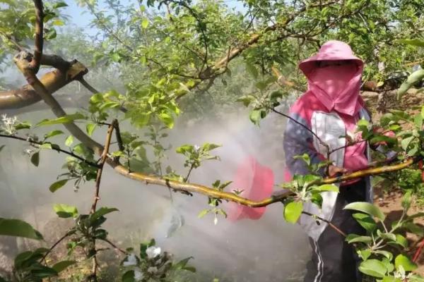 氟铃脲杀什么虫