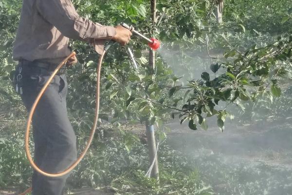 氟铃脲杀什么虫