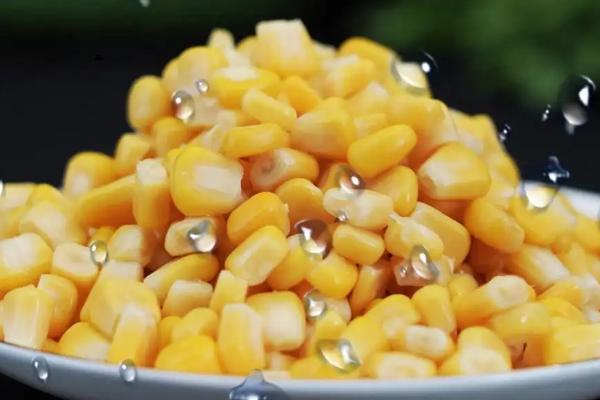 新鲜玉米能直接钓鱼吗