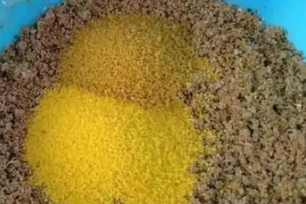 新鲜玉米能直接钓鱼吗