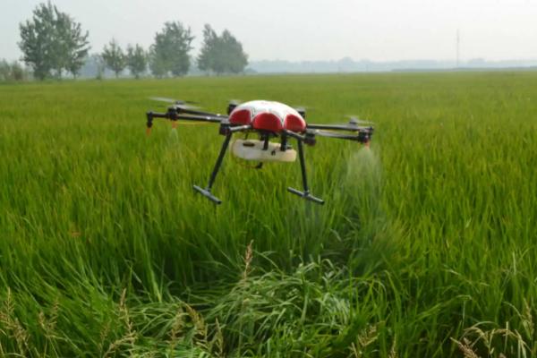 吡虫啉为什么不能和磷酸二氢钾混用