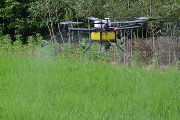 吡虫啉为什么不能和磷酸二氢钾混用