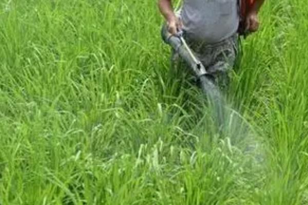 代森锰锌能和磷酸二氢钾混用吗