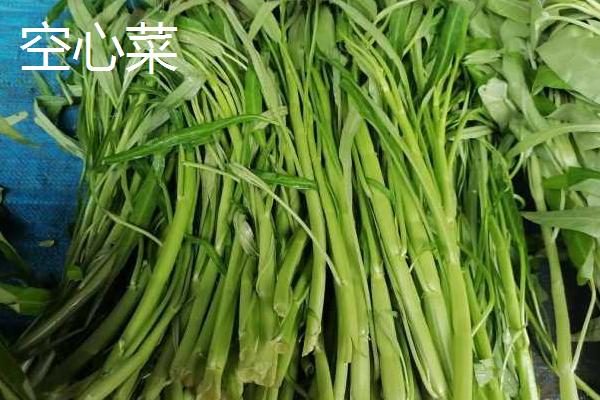 空心菜和红薯叶的区别
