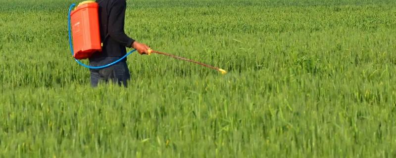 硼肥和磷酸二氢钾可以混用吗