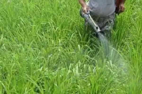 磷酸二氢钾和尿素能混用吗