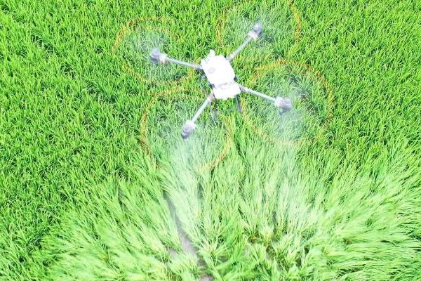 15公斤水兑多少克磷酸二氢钾