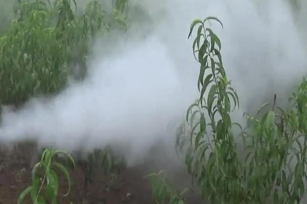 15公斤水兑多少克磷酸二氢钾