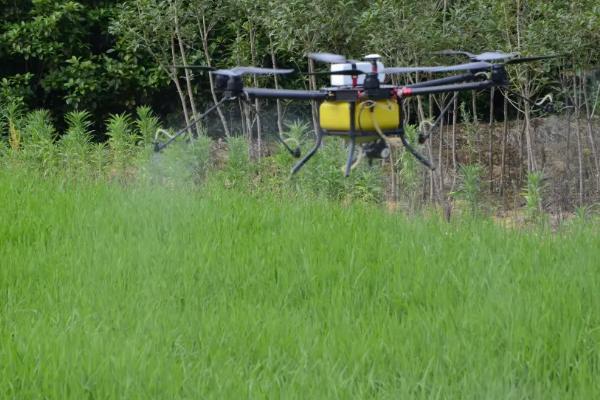 磷酸二氢钾可以根部施肥吗