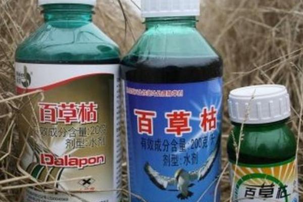 敌草快是百草枯吗