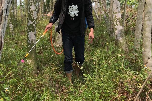 敌草快的用法和用量