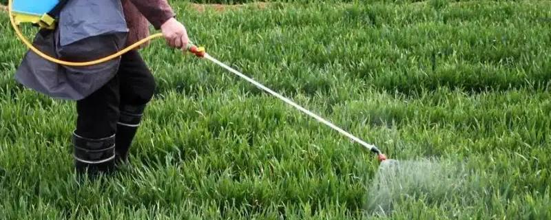 春雷霉素的作用