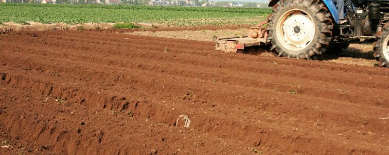 耕地可以养鱼吗