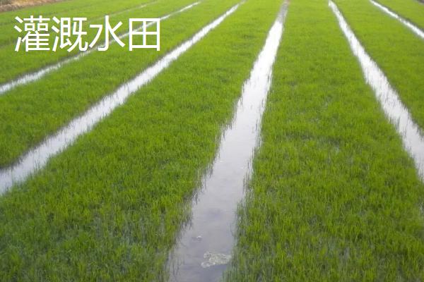 耕地类型有哪些