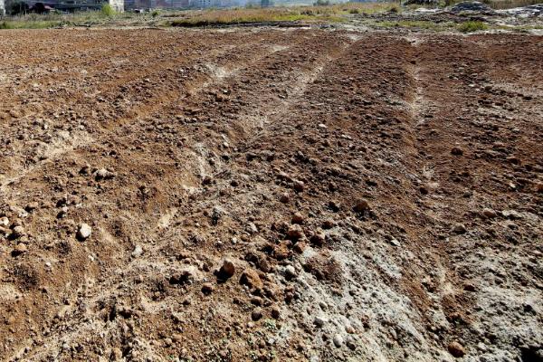 耕地可以养鱼吗