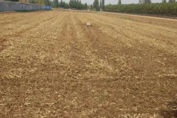 耕地可以养鱼吗