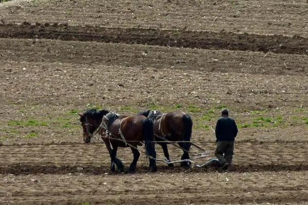 耕地可以养鱼吗
