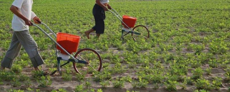 花生肥氮磷钾配方