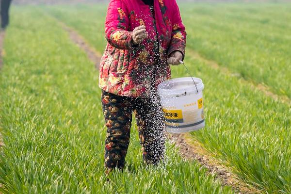 氮磷钾复合肥有哪些